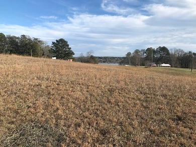 Chickamauga Lake Lot For Sale in Sale Creek Tennessee
