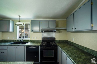Discover your dream home with this beautiful double wide 4 - photo 6