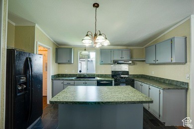 Discover your dream home with this beautiful double wide 4 - photo 8