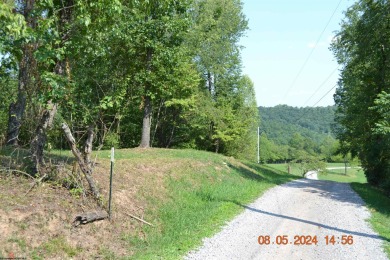 Burnsville Lake Acreage For Sale in Napier West Virginia