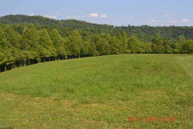 Lake Acreage For Sale in Napier, West Virginia