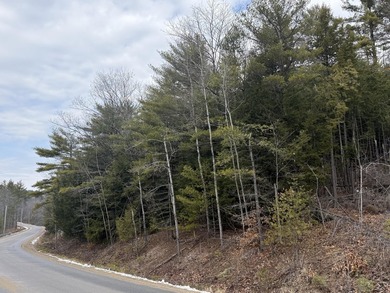 Wooded 1.76 acre lot on Shady Nook. Whether you want to have a - photo 1