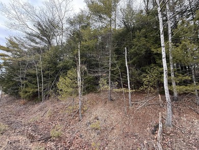 Wooded 1.76 acre lot on Shady Nook. Whether you want to have a - photo 2