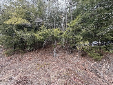 Wooded 1.76 acre lot on Shady Nook. Whether you want to have a - photo 3
