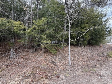 Wooded 1.76 acre lot on Shady Nook. Whether you want to have a - photo 4