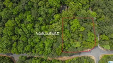 Beautiful half-acre corner lot located within the desirable - photo 1