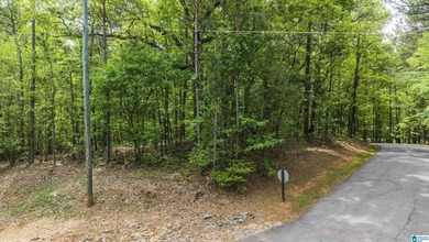 Beautiful half-acre corner lot located within the desirable - photo 2