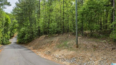 Beautiful half-acre corner lot located within the desirable - photo 4