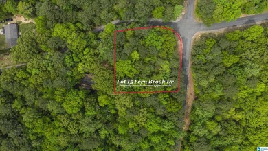 Beautiful half-acre corner lot located within the desirable - photo 5