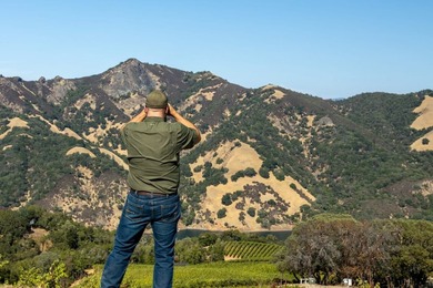 The 120 acre Pritchett Peaks Vineyard is nestled in the majestic - photo 12