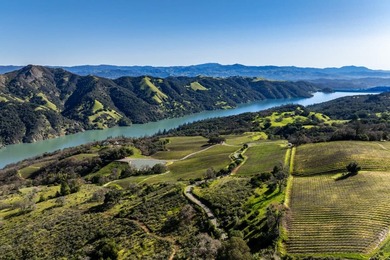 The 120 acre Pritchett Peaks Vineyard is nestled in the majestic - photo 36
