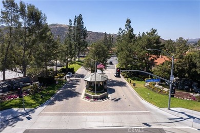 38648 Bears Paw Dr. - photo 49