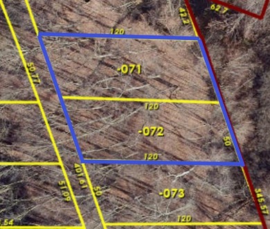Baseline Lake - Livingston County Lot For Sale in Pinckney Michigan