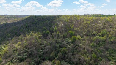 2232 State Route 83 in Beverly, Ohio is 375 total acres in - photo 27