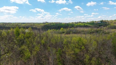 2232 State Route 83 in Beverly, Ohio is 375 total acres in - photo 28
