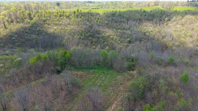 2232 State Route 83 in Beverly, Ohio is 375 total acres in - photo 30