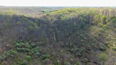 2232 State Route 83 in Beverly, Ohio is 375 total acres in - photo 31