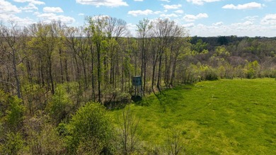 2232 State Route 83 in Beverly, Ohio is 375 total acres in - photo 34