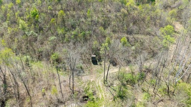 2232 State Route 83 in Beverly, Ohio is 375 total acres in - photo 36