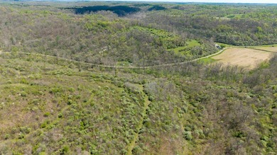 2232 State Route 83 in Beverly, Ohio is 375 total acres in - photo 38