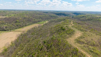 2232 State Route 83 in Beverly, Ohio is 375 total acres in - photo 39