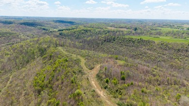 2232 State Route 83 in Beverly, Ohio is 375 total acres in - photo 40