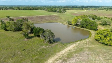 (private lake, pond, coastal) Home For Sale in Schulenburg Texas