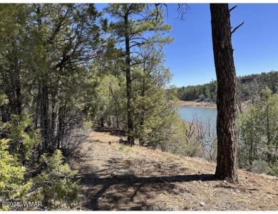 Lake Lot For Sale in Show Low, Arizona