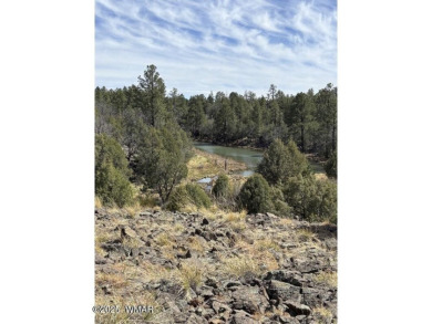 Lake Lot For Sale in Show Low, Arizona