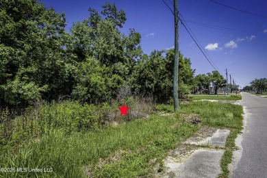 Rare waterfront opportunity in an AE flood zone with 50 feet of - photo 10