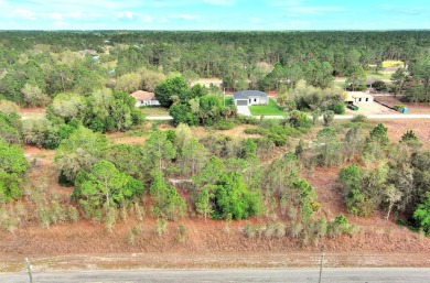 Lehigh Acres Area Lot For Sale in Lehigh Acres Florida