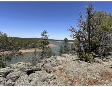 Lake Lot For Sale in Show Low, Arizona
