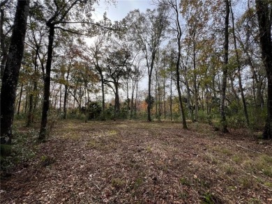 Lake Lot For Sale in Brunswick, Georgia