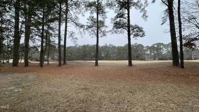 Rare opportunity to own four premium homesites in the - photo 2