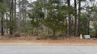 Rare opportunity to own four premium homesites in the - photo 4