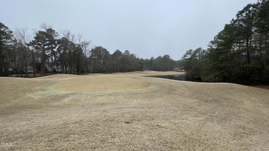 Rare opportunity to own four premium homesites in the - photo 6