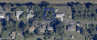 Nestled in the Palm Bay area, this vacant .23-acre lot presents - photo 1