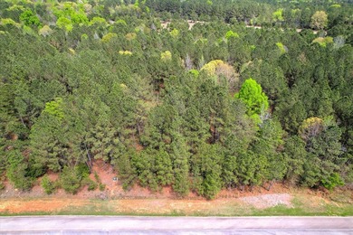 Enjoy the opportunity to build your lake area home on this - photo 2