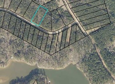 Enjoy the opportunity to build your lake area home on this - photo 3