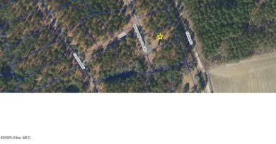 Neuse River Lot For Sale in Oriental North Carolina