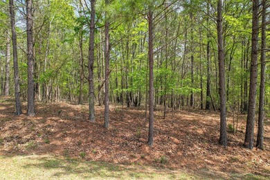Take a look at this beautiful 1.68 acre interior lot that is in - photo 1