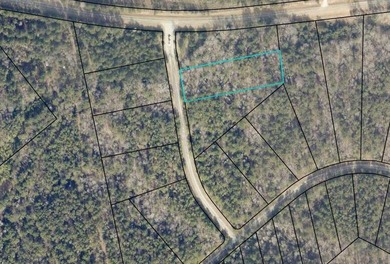 Take a look at this beautiful 1.68 acre interior lot that is in - photo 3