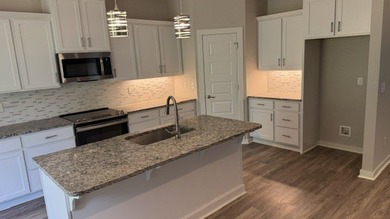 Built in 2022, this beautiful 3 bedroom, 3 full bath home sits - photo 8