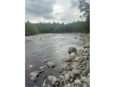 Listen to the tranquility of Austin Stream. Waterfront property - photo 2