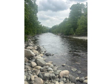 Listen to the tranquility of Austin Stream. Waterfront property - photo 3