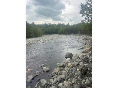 Listen to the tranquility of Austin Stream. Waterfront property - photo 4