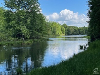 Lake Acreage For Sale in Catskill, New York