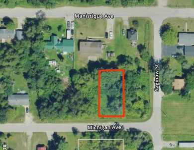 Lake Michigan - Schoolcraft County Lot For Sale in Manistique Michigan
