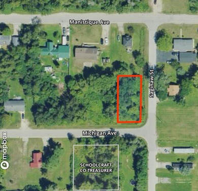Lake Michigan - Schoolcraft County Lot For Sale in Manistique Michigan
