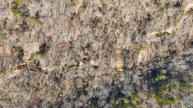 Premier Buffalo National River Area legacy hunting, recreational - photo 12